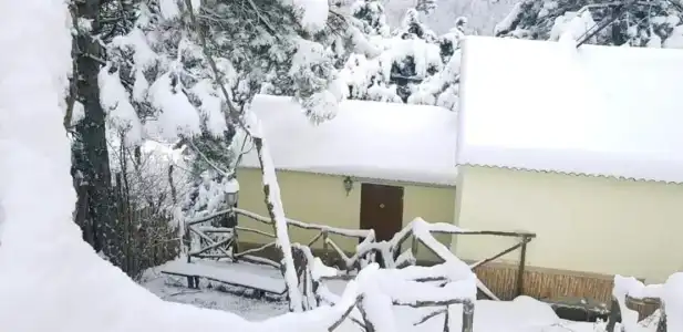 Popock Dilijan 1 - 14