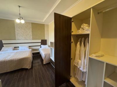 Travel Inn Bakuriani - 52