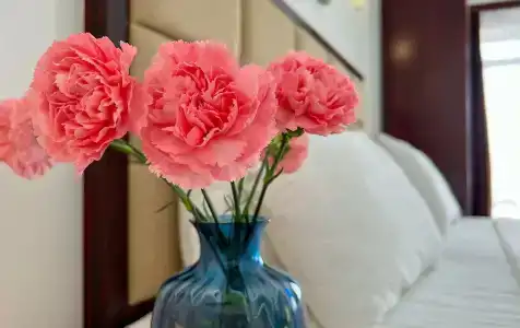 Wellness Park All-Inclusive - 79