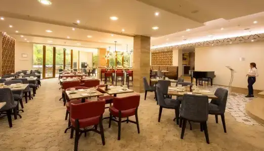 Radisson BLU - 29