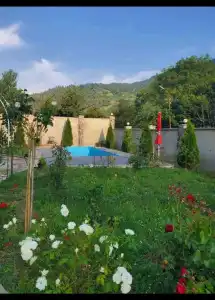 Dioscuria Borjomi Guest House - 17