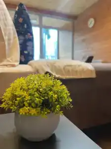 Neptun Tourist base - 67