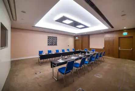Radisson Blu, Kayseri - 30