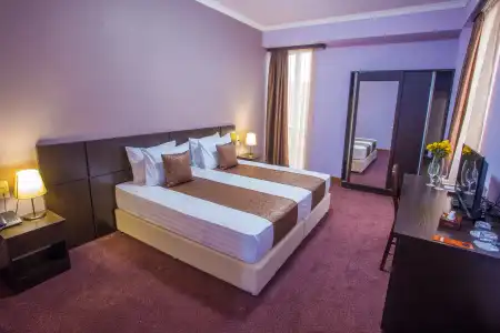 Ani Central Inn - 14