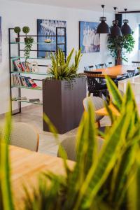 Ingate Suite - 1