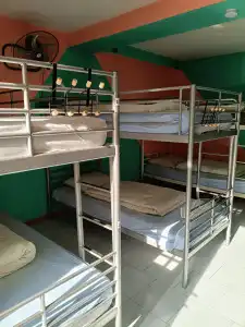 Eco-friendly Why Me Tbilisi Guest House - 9