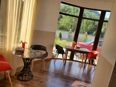 Dioscuria Borjomi Guest House - 23