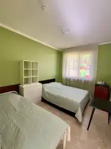 Romashka - 102