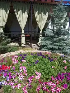 GulHayat Guest House - 25