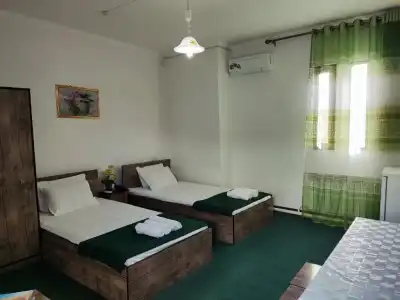 Green House - 116