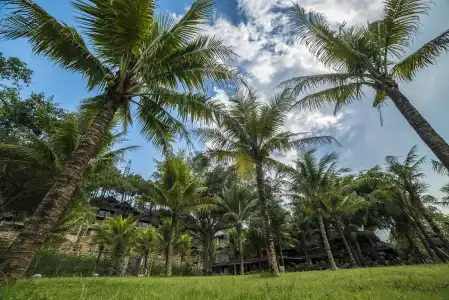 Sankofa Village Hill Resort and Spa - 10