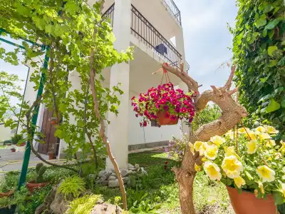 Apartments Viktorija - 18