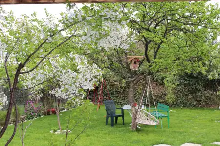 Guest House Poligloti - 15