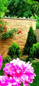 Green Garden Apartments - 5
