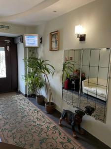 Nika Mini-Hotel - 21