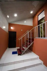 Tempus Hostel - 0