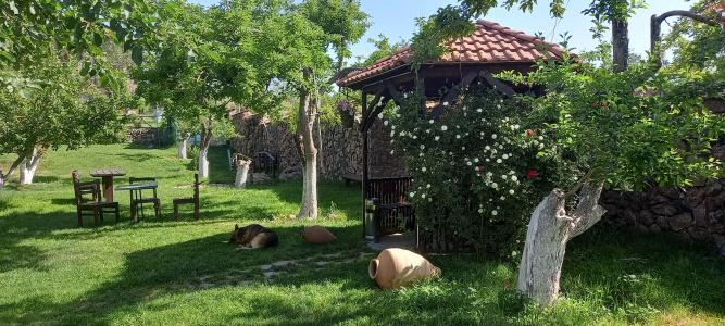 Garni HinYard - 6