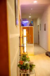 Wine Hostel - 2