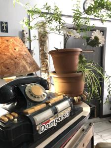 Dom Polski Guest House - 39