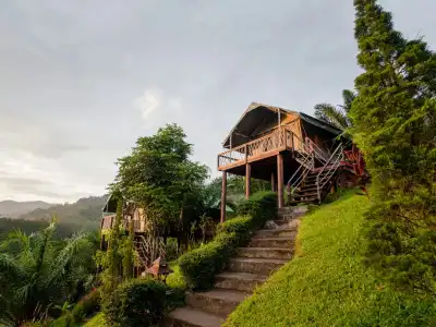 Khaosok Boutique Camps - 4