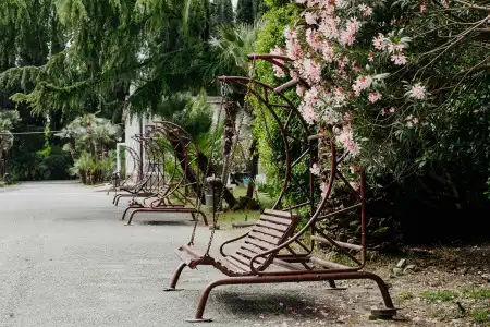 Amza Park - 10