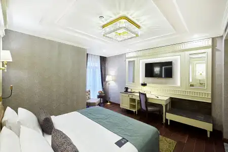 Aspera Golden Horn - 19