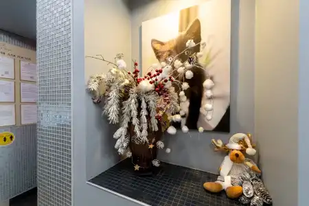 Pogosti.ru Na Altufyevskom Shosse - 0