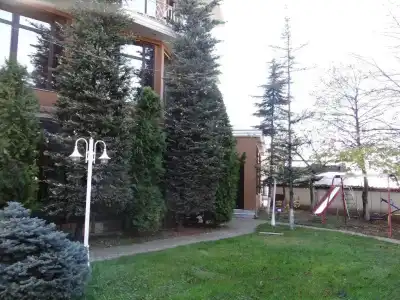 Konti - 13