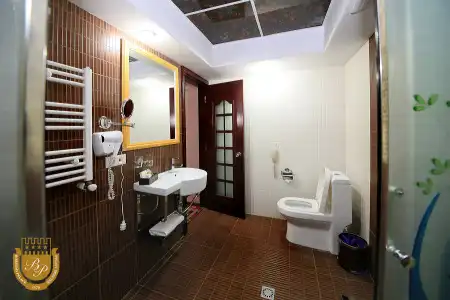 Borjomi Palace Health & Spa Center - 73