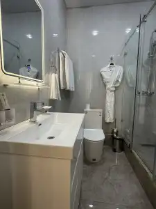Art Regency Premium FREE airport service - 34
