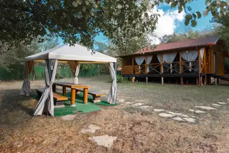 Poiana Bradului Complexier & Restaurant Resort - 83