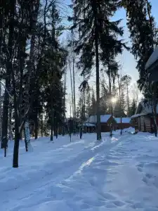 Neptun Tourist base - 60