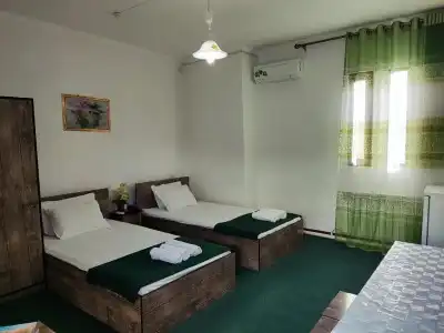 Green House - 18
