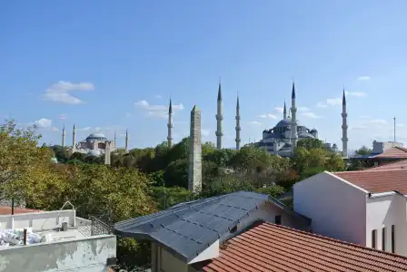 Saba - 15