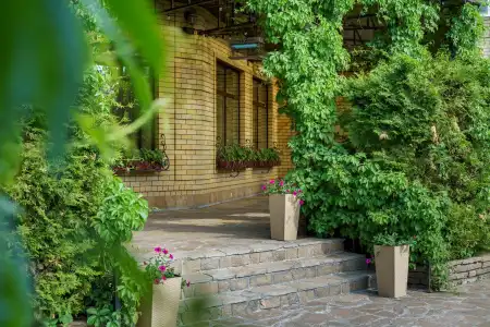 Garden - 22
