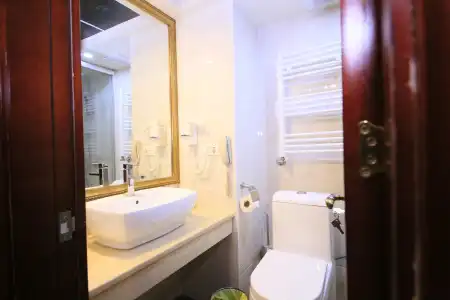 Borjomi Palace Health & Spa Center - 68