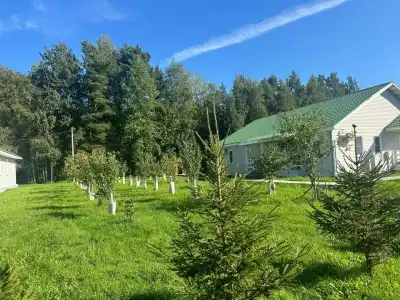 Staraya Sloboda - 6