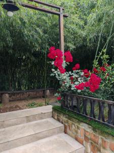 Qilimcha's Guest House - 208