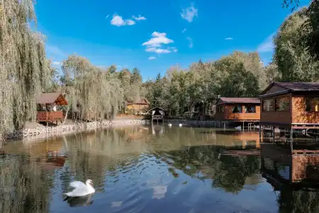 Poiana Bradului Complexier & Restaurant Resort - 1