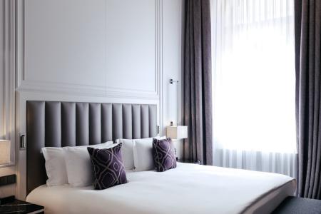 Cosmos Selection Saint-Petersburg Italyanskaya - 158