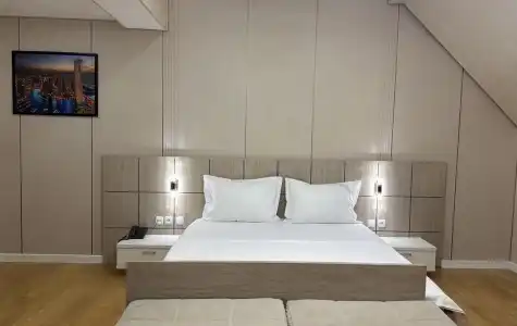 Art Regency Premium FREE airport service - 13