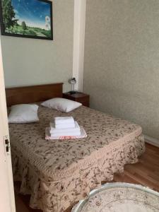 Петровск - 110