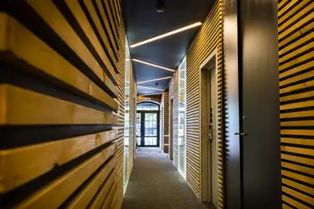 Wellion Baumansky - 7