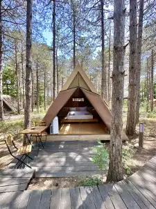 Longosphere Glamping - 5