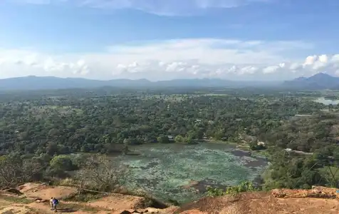 Oak Ray Elephant Lake - 5