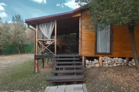 Poiana Bradului Complexier & Restaurant Resort - 84