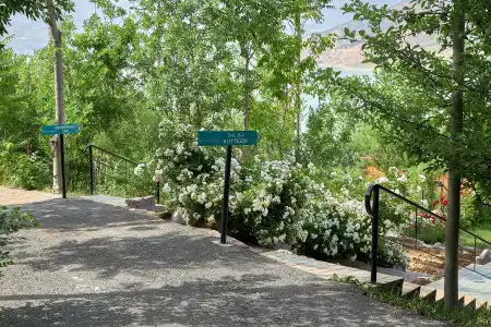 Avenue Park - 13