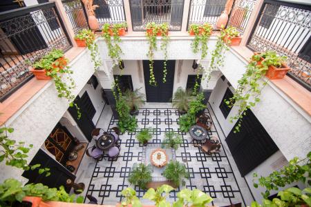Riad Tachchaqa - 1