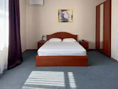 Пансионат София - 101