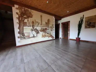 Pan Asiat - 20